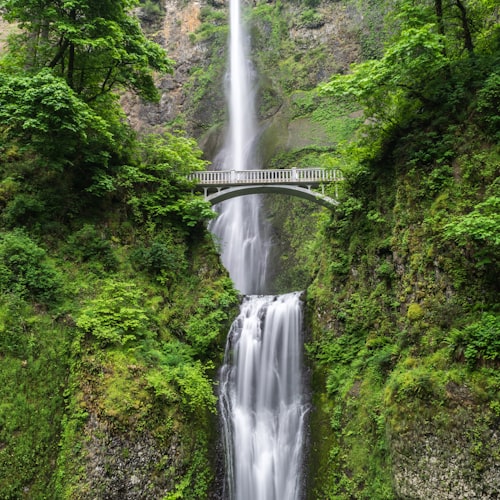 Deep green waterfall scene at the center of the grid