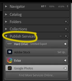 Lightroom Classic left sidebar with the Publish Services panel highlighted, listing Hard Drive, Adobe Stock, and a Google Photos service