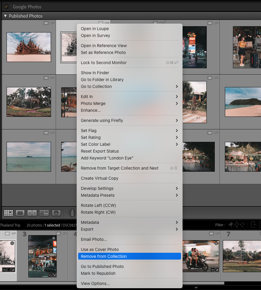Right-click menu showing Remove from Collection option